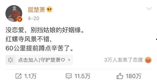 娱乐吃瓜博主文案怎么写