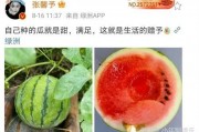 吃娱乐圈的瓜