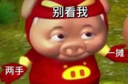 娱乐吃瓜酱猪猪侠,吃瓜酱带你领略猪猪侠的欢乐世界